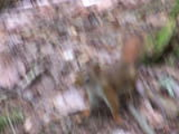 100_1605.jpg
